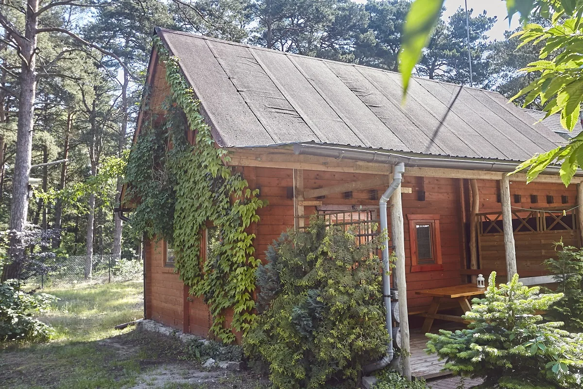 Domek nr 3 - zdjęcie 2